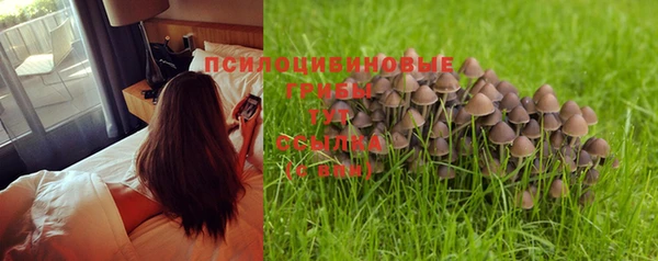 эйфоретик Аркадак